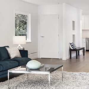Boarddeur inclusief kozijn 56×120 mm